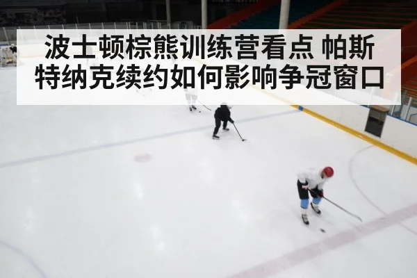 波士顿棕熊训练营看点 帕斯特纳克续约如何影响争冠窗口